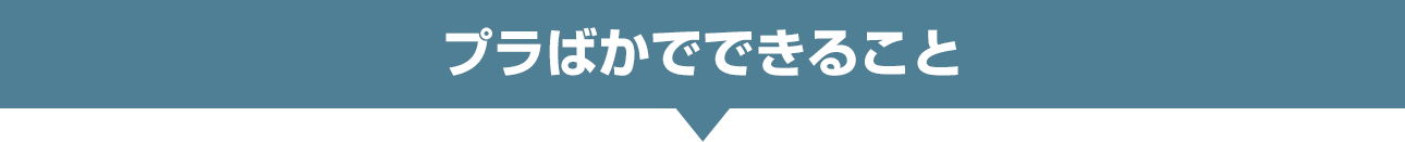 プラばかでできること