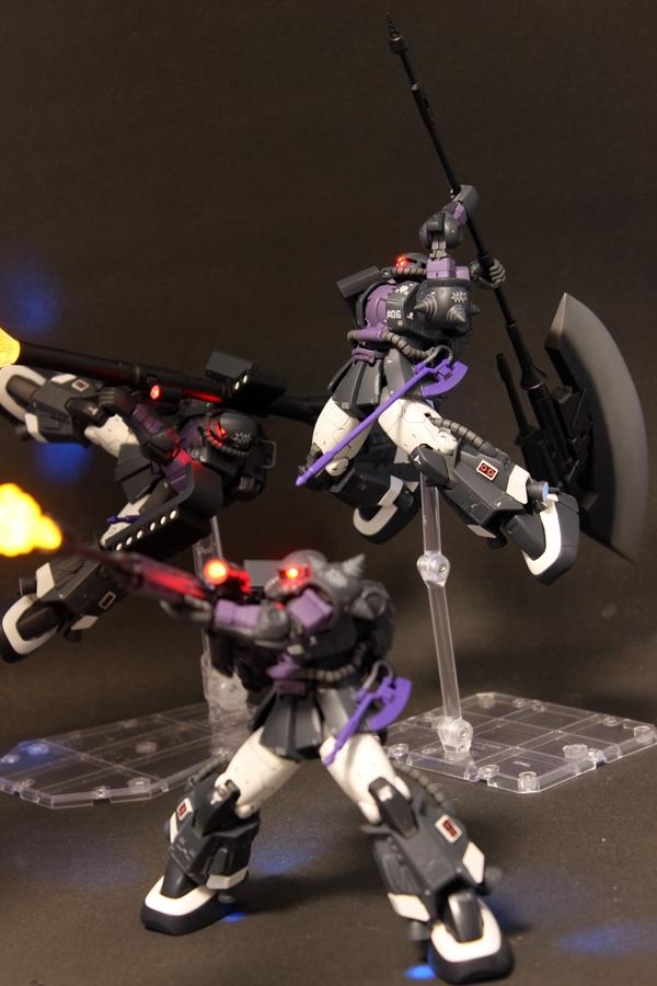 クロイチカラモチ画像4